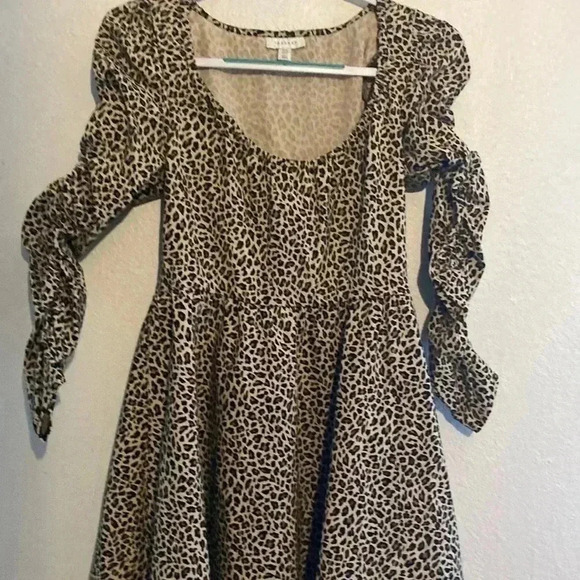Topshop Dresses & Skirts - Top shop leopard skater dress